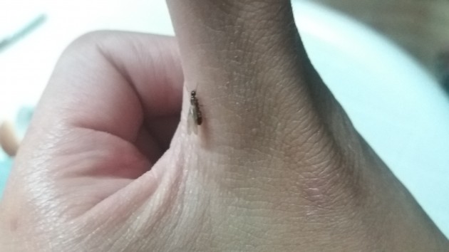 20160815_212422.jpg