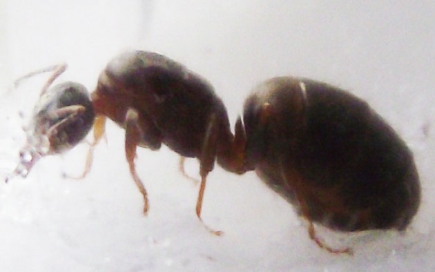 DSCF3546.JPG