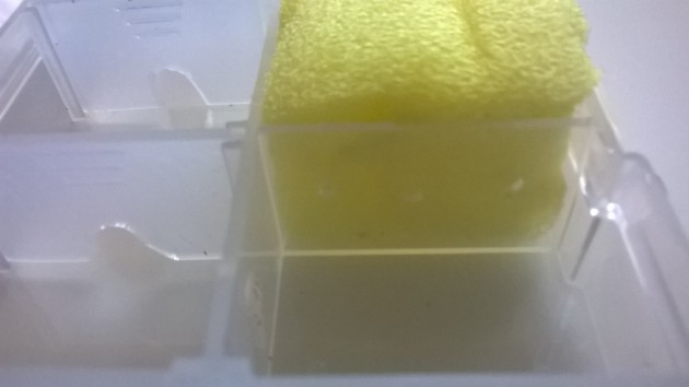 WP_20160822_22_42_58_Pro.jpg