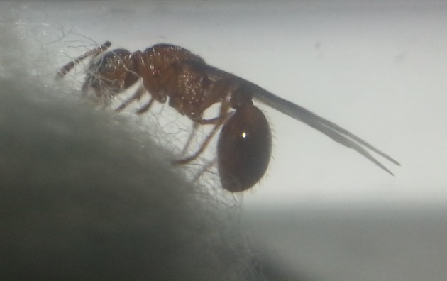 20160830_095708.jpg