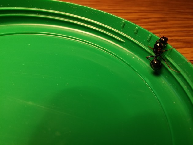 20160913_181013.jpg