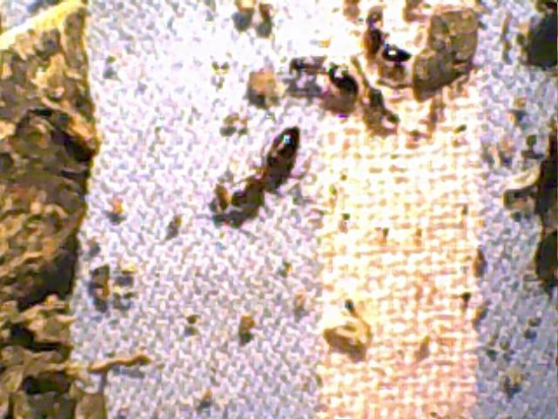 Untitled 41.jpg