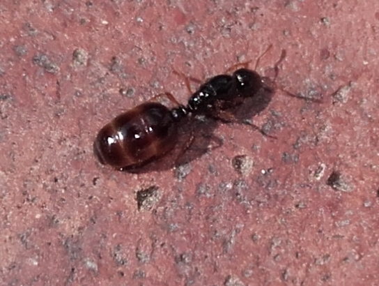 20160918.jpg