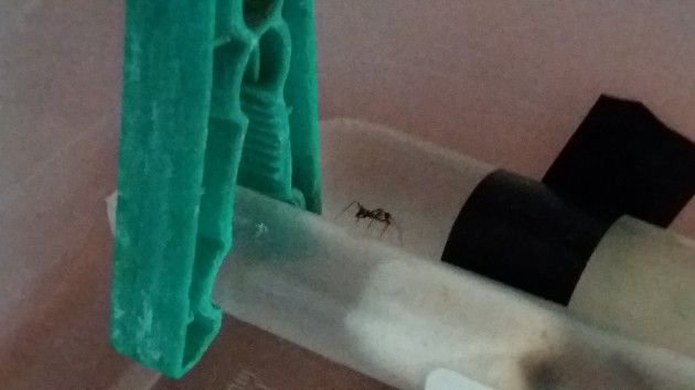 20160922_173815.jpg