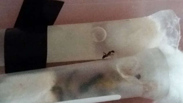 20160922_173851.jpg