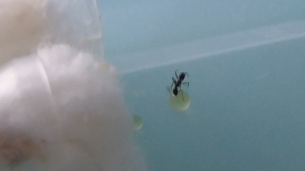 20160922_175118.jpg