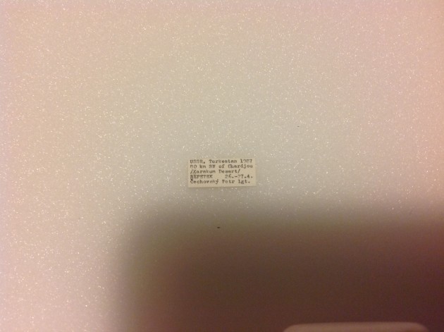 image.jpeg