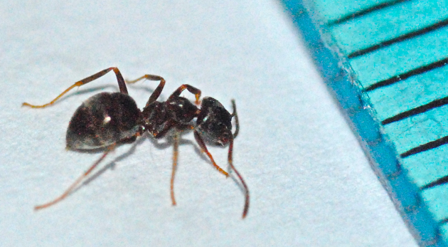 Schermata 2016-10-01 alle 15.20.51.png