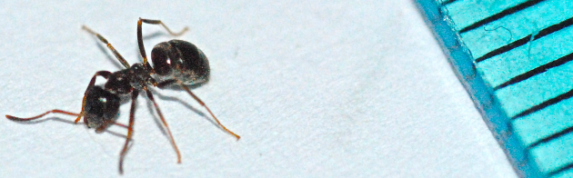 Schermata 2016-10-01 alle 15.21.20.png