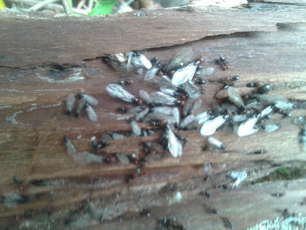 20161008_125525.jpg