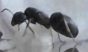 DSCF3584.JPG