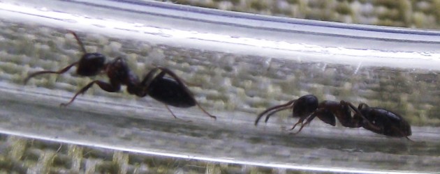 DSCF4969.JPG