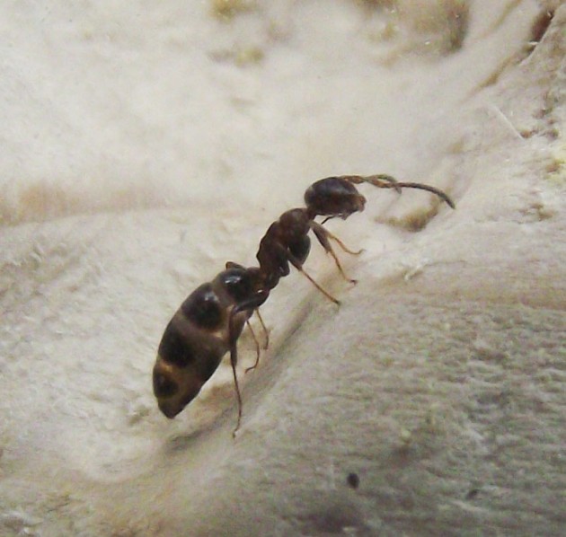 DSCF4972.JPG