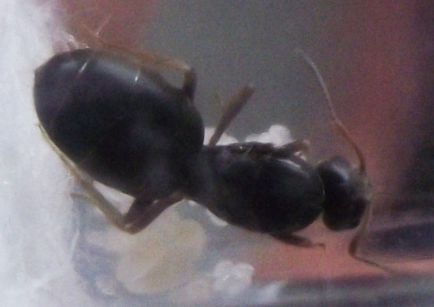 DSCF3586.JPG