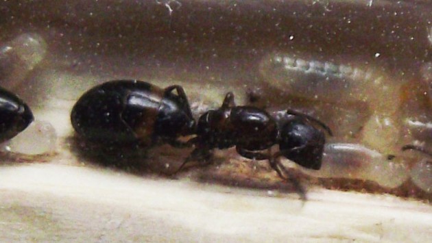 DSCF4977.JPG