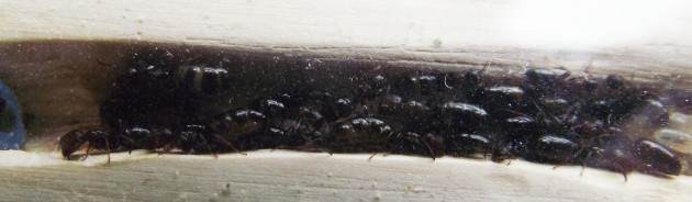 DSCF4970.JPG
