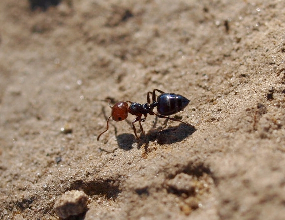 croazia 2012 (16).JPG