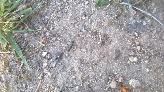 WP_20170328_10_29_30_Pro.jpg