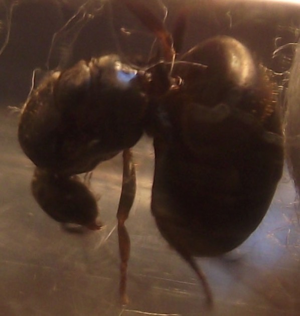 DSCF3603.JPG