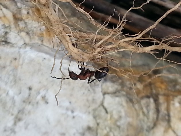 20170415_121146.jpg