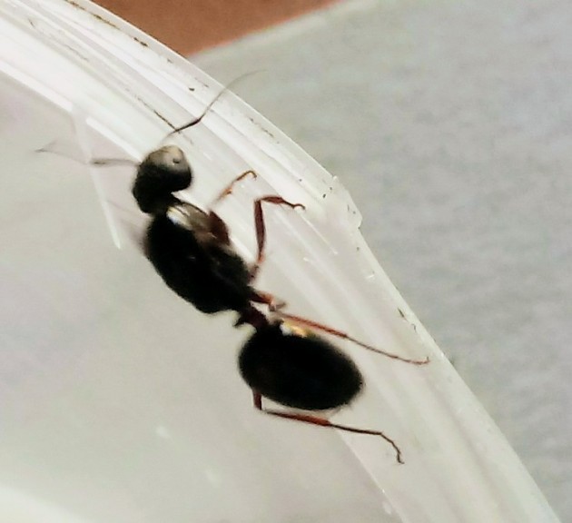 20170430_172526-1.jpg