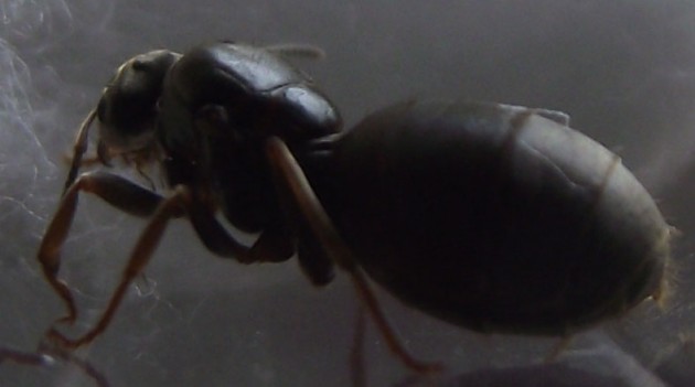 DSCF3613.JPG