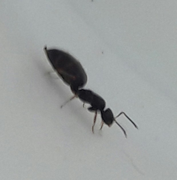 20170529_120525.jpg