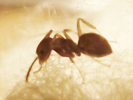 DSCF3663.JPG