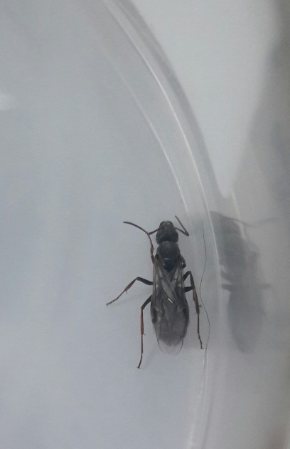 20170601_203031.jpg