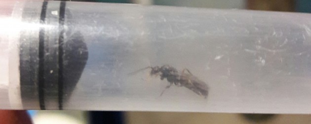 20170601_223902.jpg