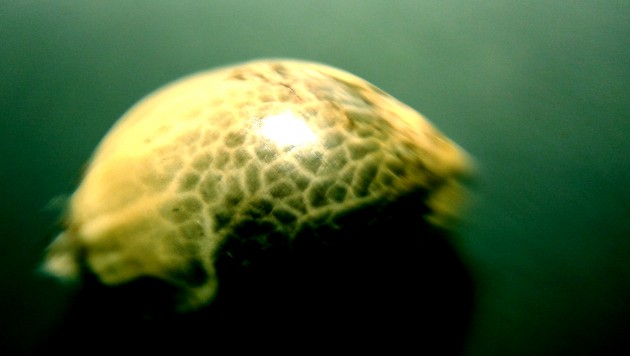 20140903_123702.jpg