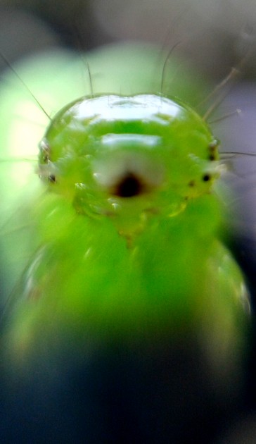 20141004_132621.jpg