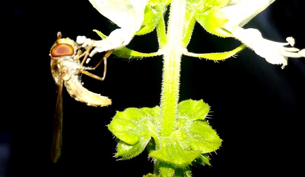 20141003_180705.jpg