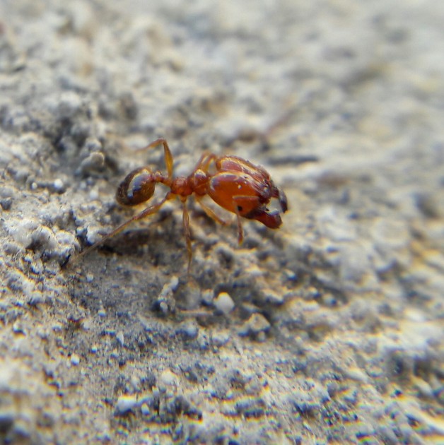 20170607_143212.jpg