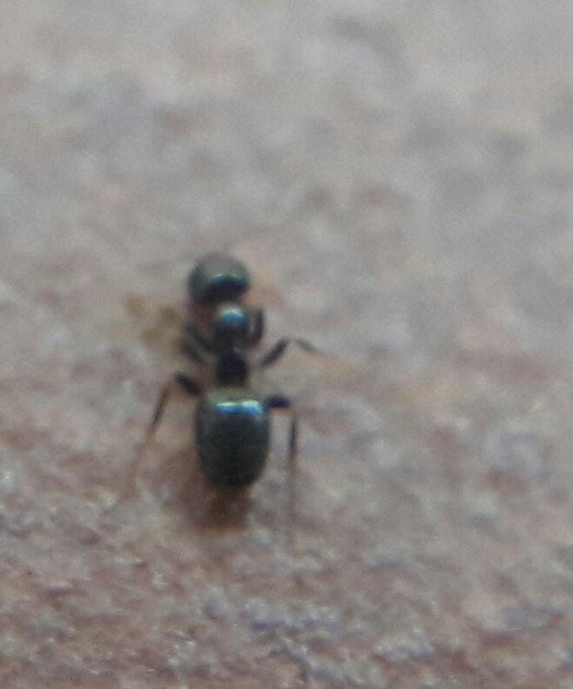 20170607_155327.jpg