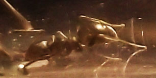 DSCF3666.JPG