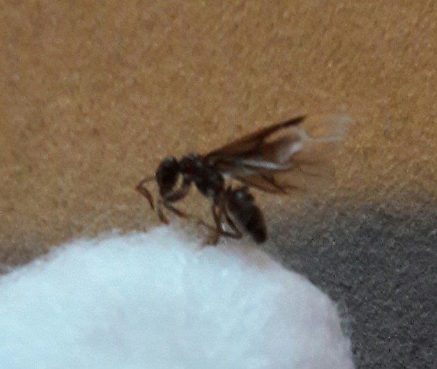 20170610_205548.jpg