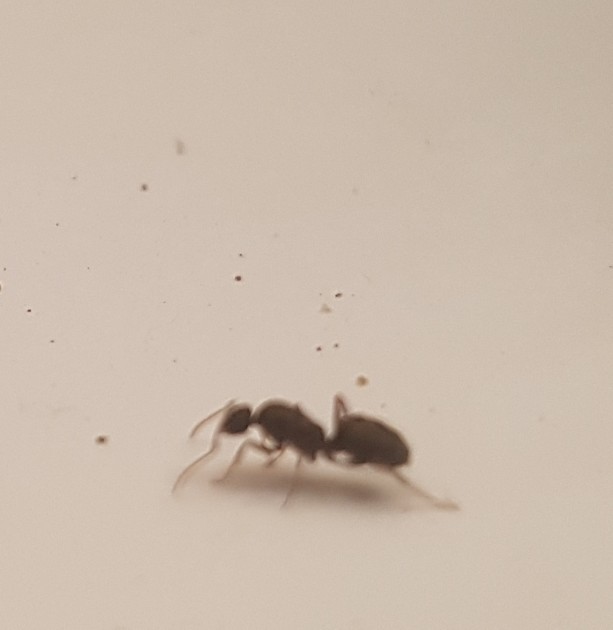 20170610_225256.jpg