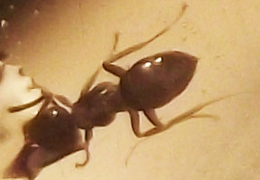 DSCF3669.JPG