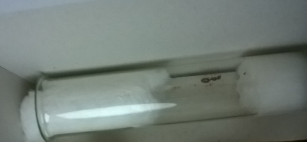 WP_20170612_09_29_48_Pro.jpg