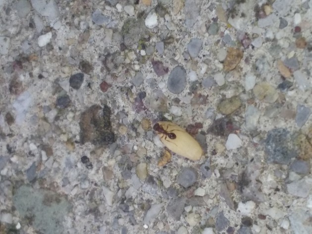 20170531_190358.jpg