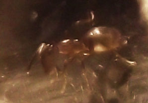 DSCF3671.JPG
