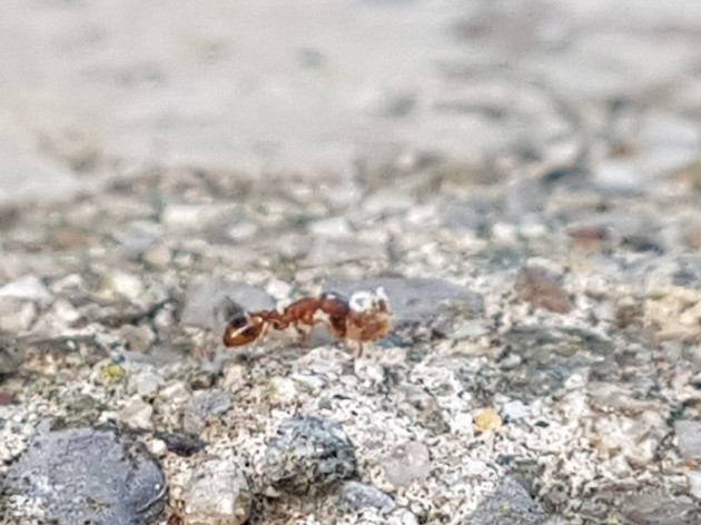 20170622_184930.jpg