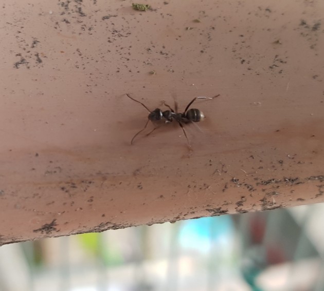20170630_130414.jpg