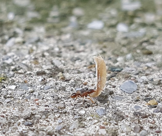 20170630_130442.jpg