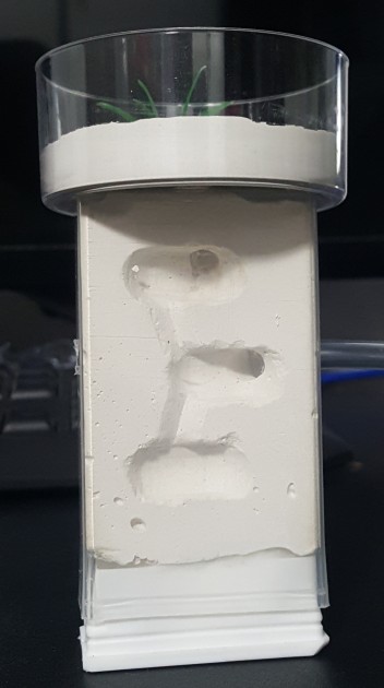 20170705_213838.jpg