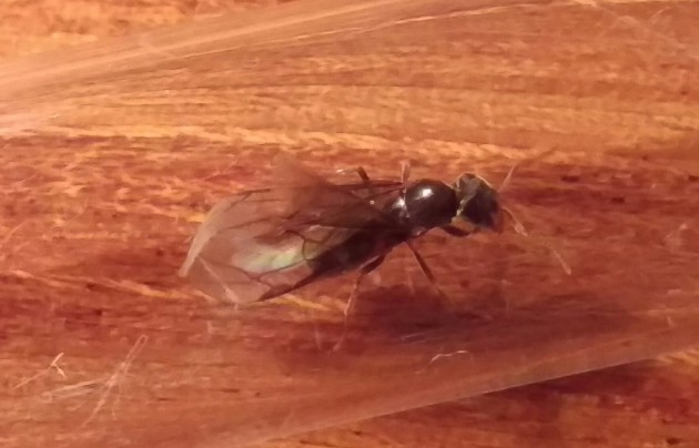 IMAG0552_1.jpg
