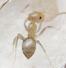 DSCF3703.JPG