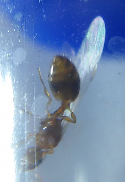 20170729_205816.jpg