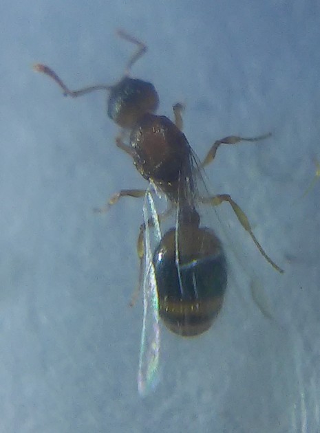 20170729_205902.jpg